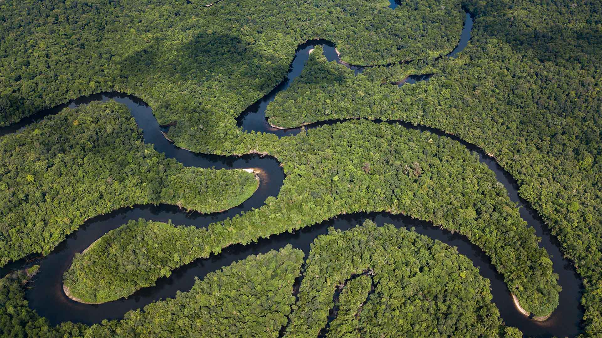 REDD-Plus-Wildlife-Alliance-Cambodia